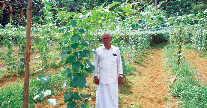 /uploads/news/2040-images (19).jpeg